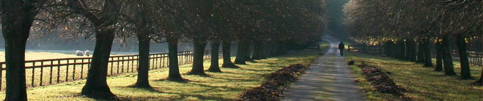 hpm-aus-berg